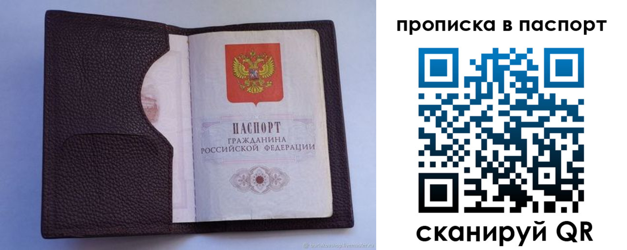 прописка законно в Копейске